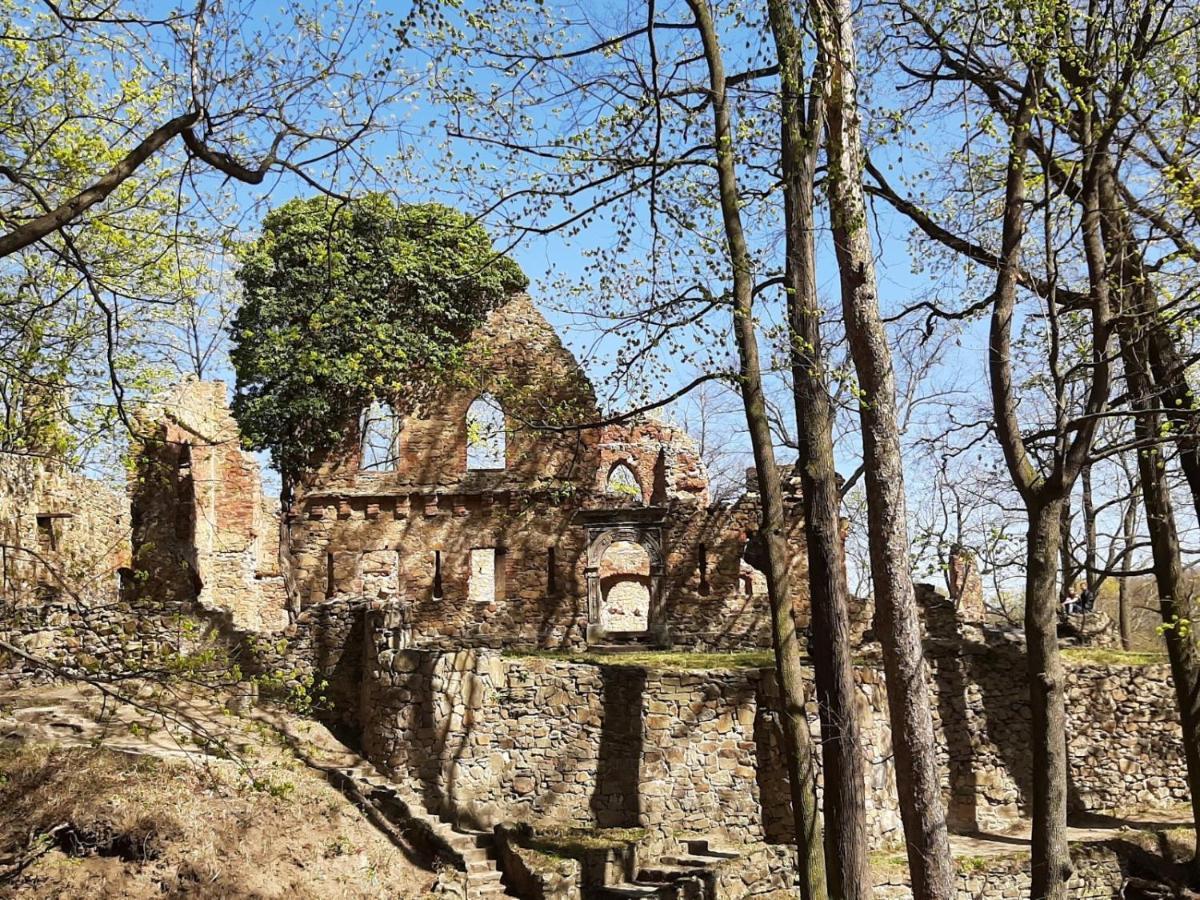 Hotel Przy Oslej Bramie - Zamek Ksiaz Валбжих Экстерьер фото